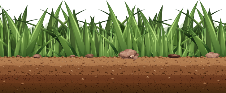 Grass Graphic